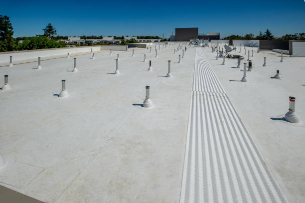 Best Metal Roofing Installation  in North Wantagh, NY